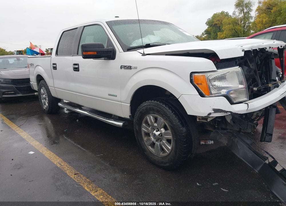 2012 FORD F-150 XLT VIN: 1FTFW1ETXCFB02697