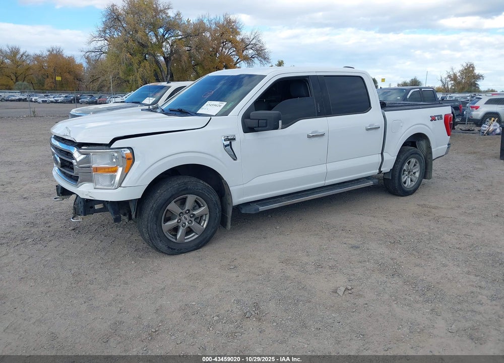 2021 FORD F-150 XLT VIN: 1FTFW1E50MFA82172