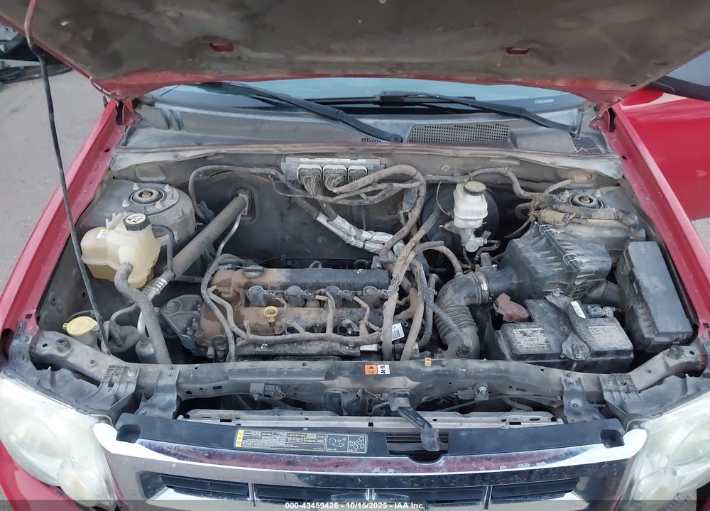 2010 FORD ESCAPE XLT VIN: 1FMCU0D71AKD45418