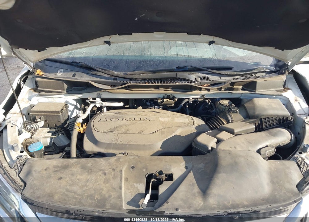 2018 HONDA ODYSSEY ELITE VIN: 5FNRL6H93JB021397