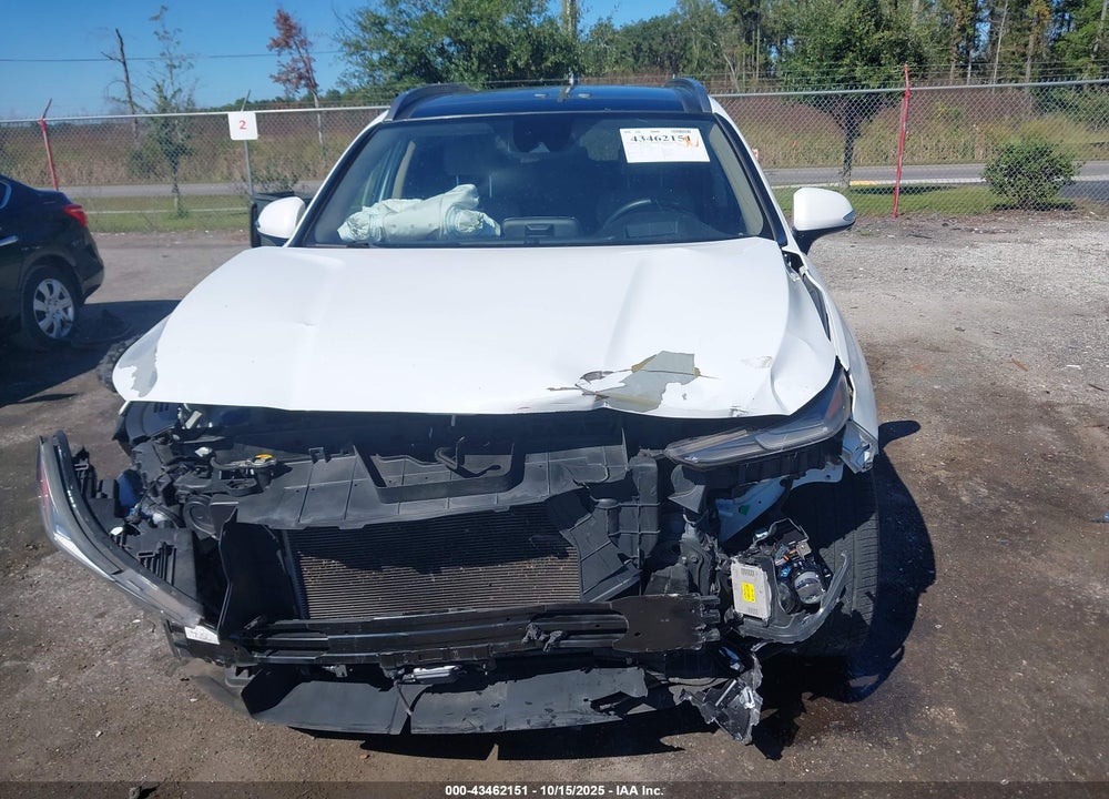 2019 HYUNDAI SANTA FE VIN: 5NMS5CAD3KH067188