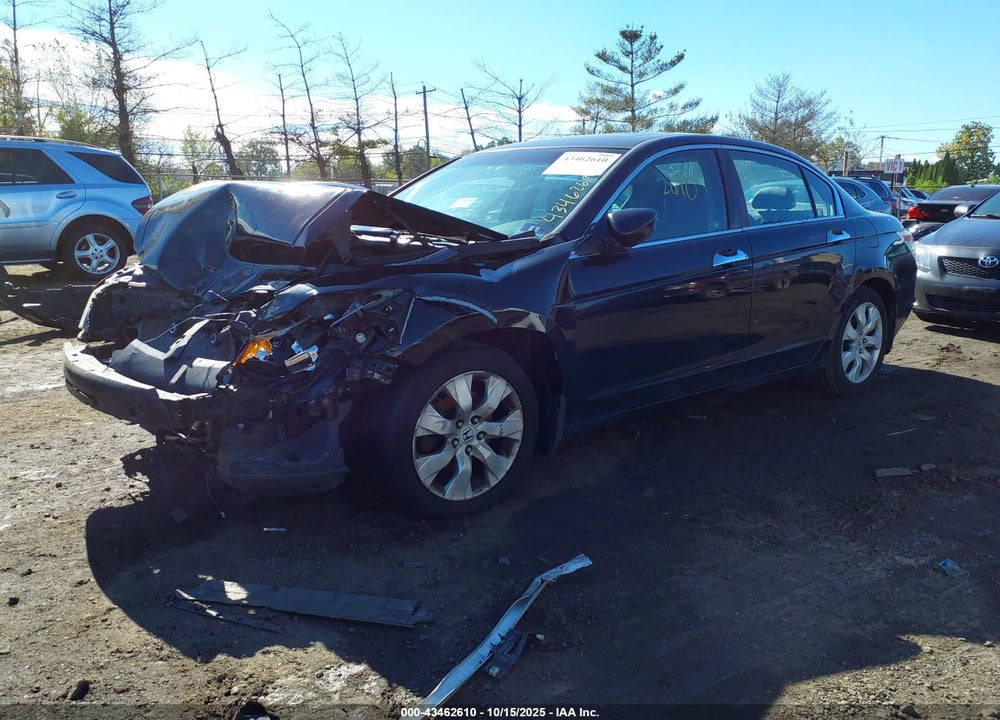 2010 HONDA ACCORD VIN: 1HGCP3F84AA011300