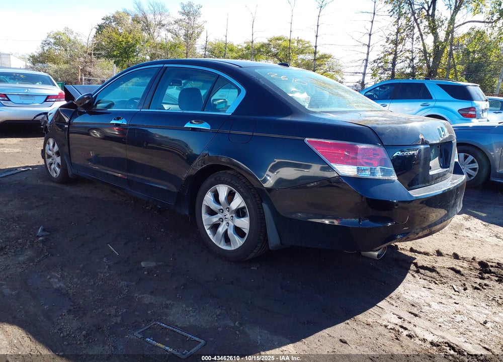 2010 HONDA ACCORD VIN: 1HGCP3F84AA011300
