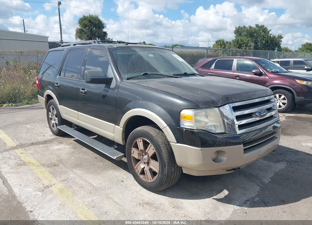 2010 FORD EXPEDITION EDDIE BAUER/KING RANCH VIN: 1FMJU1J52AEB21198