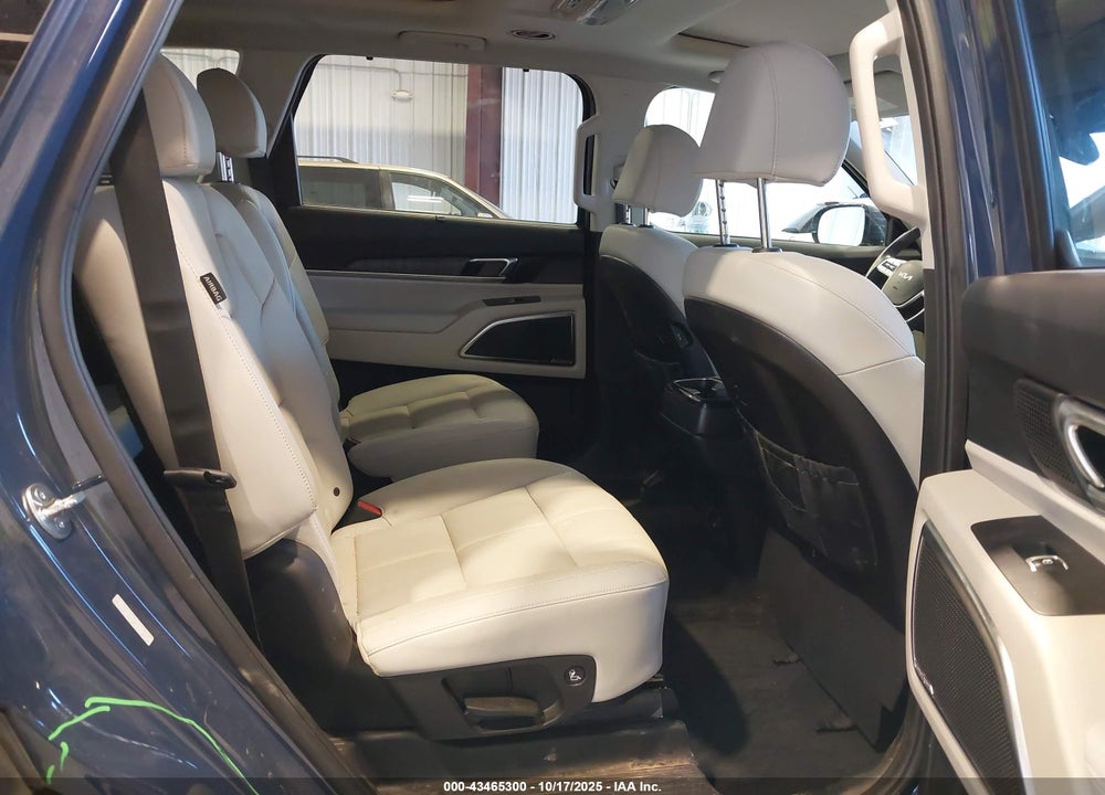 2024 KIA TELLURIDE VIN: 5XYP5DGCXRG513366