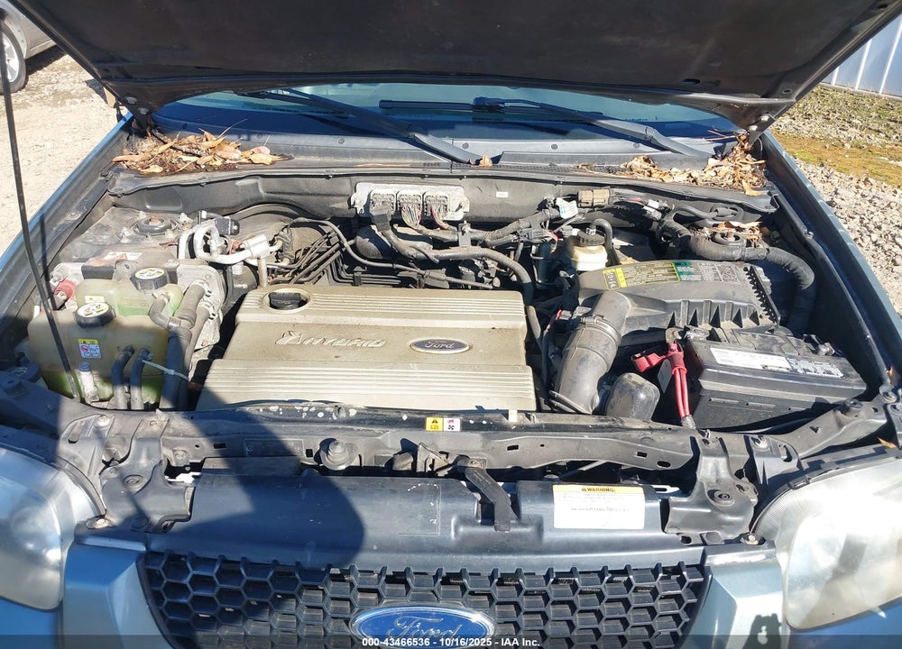 2006 FORD ESCAPE HYBRID VIN: 1FMCU96H36KC35925