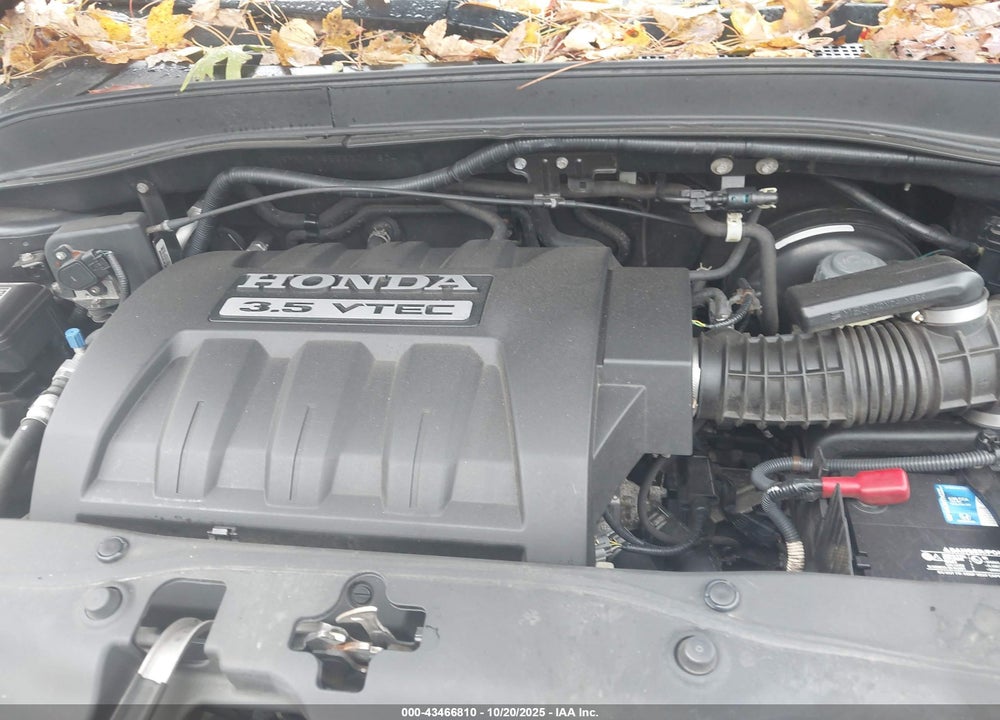2005 HONDA PILOT EX-L VIN: 5FNYF18555B011804