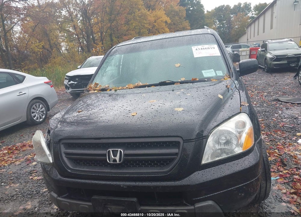 2005 HONDA PILOT EX-L VIN: 5FNYF18555B011804