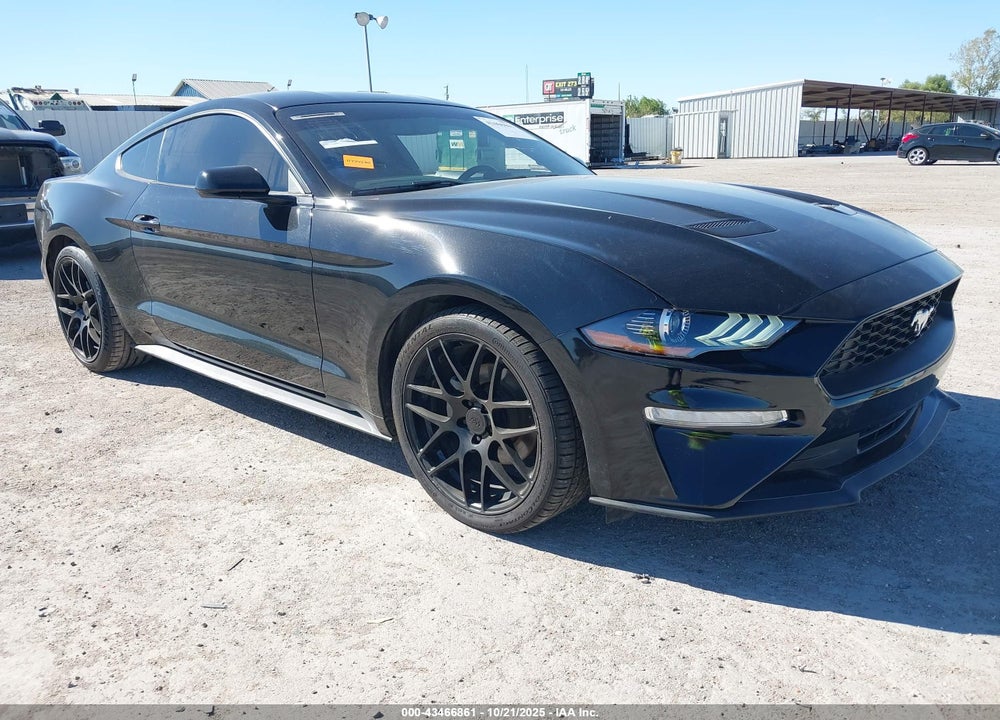 2019 FORD MUSTANG ECOBOOST VIN: 1FA6P8TH0K5176631
