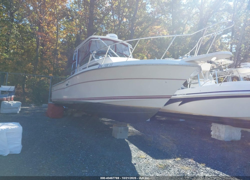 1991 WELLCRAFT OTHER VIN: WELC6551C191