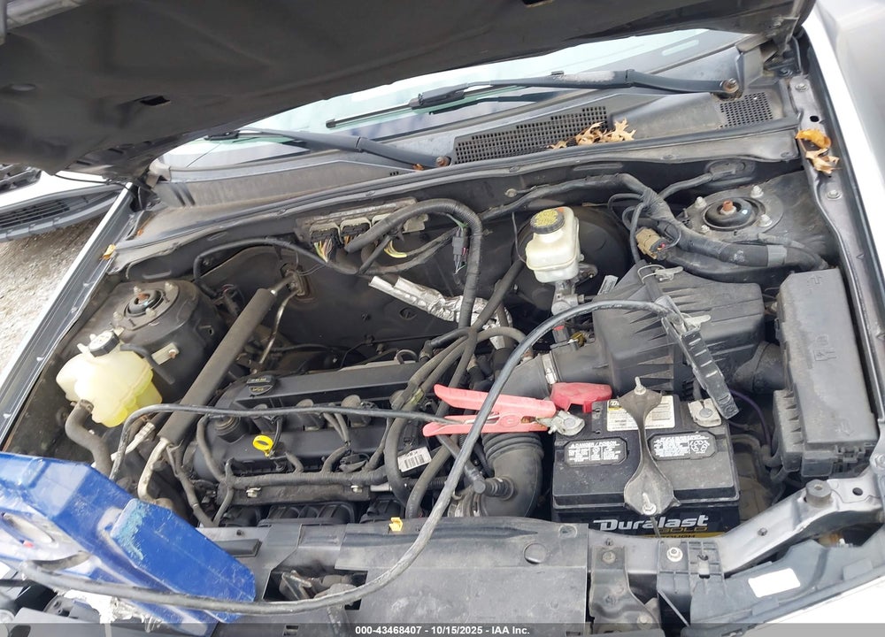 2010 FORD ESCAPE XLT VIN: 1FMCU0D70AKB56629