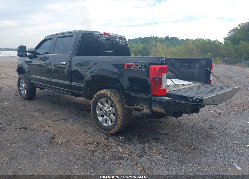 2017 FORD F-250 PLATINUM VIN: 1FT7W2BT0HEE41965
