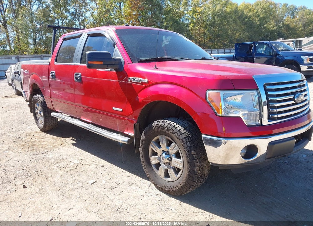 2011 FORD F-150 XLT VIN: 1FTFW1ET2BFD00236