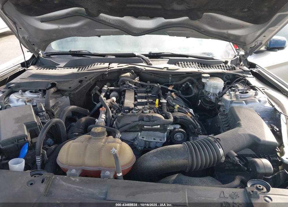 2021 FORD MUSTANG ECOBOOST FASTBACK VIN: 1FA6P8THXM5126032