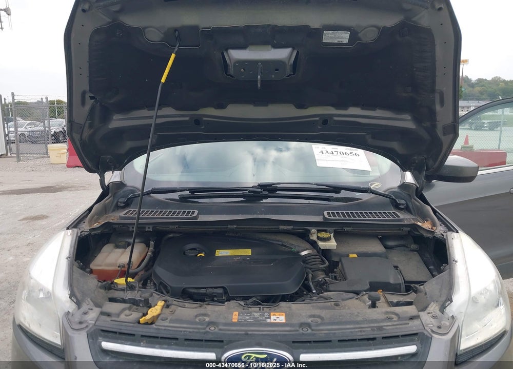 2014 FORD ESCAPE SE VIN: 1FMCU0GX9EUA05049