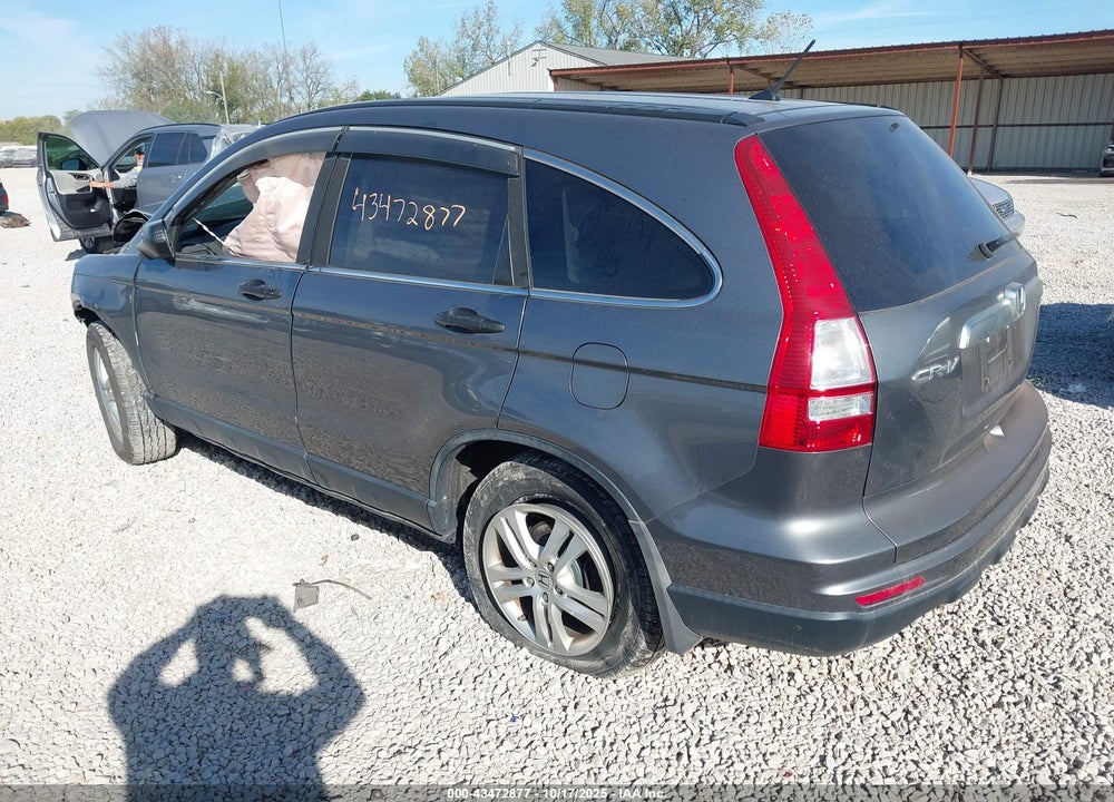 2010 HONDA CR-V EX VIN: 5J6RE4H59AL049403