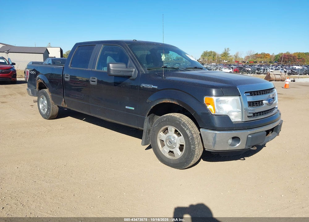 2014 FORD F-150 XLT VIN: 1FTFW1ETXEKE28476
