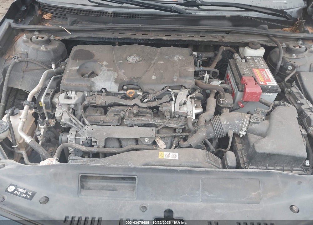 2020 TOYOTA CAMRY VIN: 4T1C11AK2LU876805