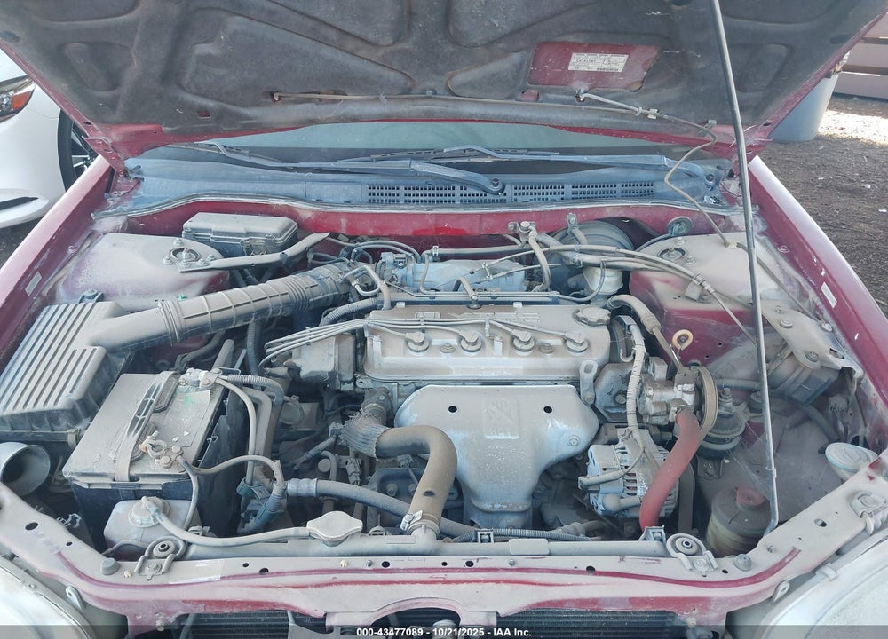 1999 HONDA ACCORD LX VIN: 1HGCG3244XA000342