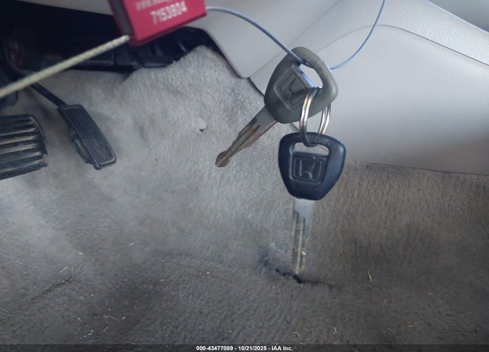 1999 HONDA ACCORD LX VIN: 1HGCG3244XA000342