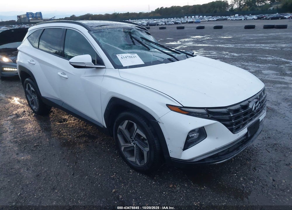 2023 HYUNDAI TUCSON LIMITED VIN: 5NMJECAEXPH265620