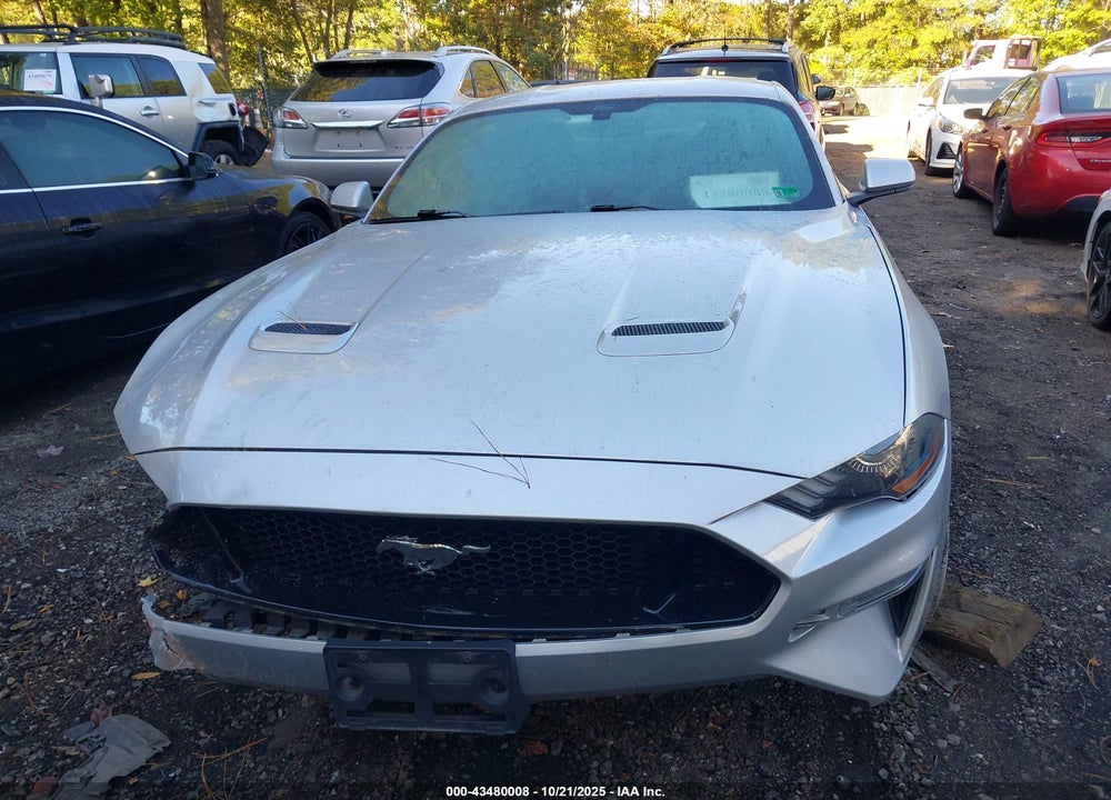 2019 FORD MUSTANG GT VIN: 1FA6P8CFXK5204059