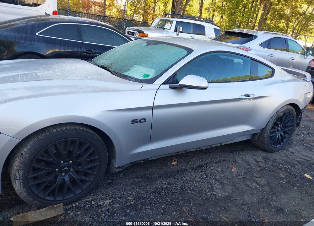2019 FORD MUSTANG GT VIN: 1FA6P8CFXK5204059