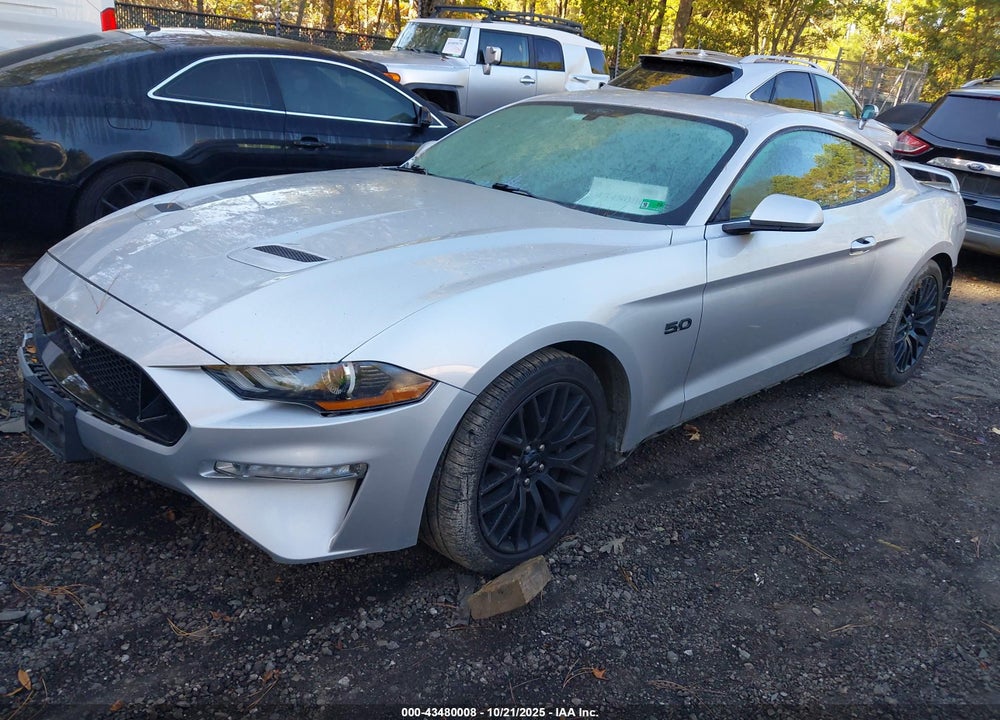 2019 FORD MUSTANG GT VIN: 1FA6P8CFXK5204059