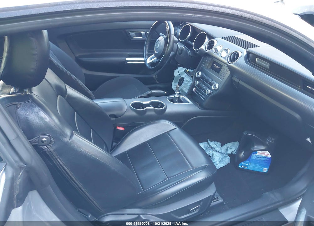 2019 FORD MUSTANG GT VIN: 1FA6P8CFXK5204059