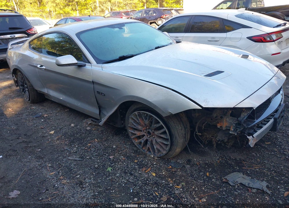 2019 FORD MUSTANG GT VIN: 1FA6P8CFXK5204059