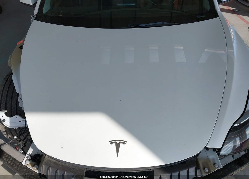 2023 TESLA MODEL 3 REAR-WHEEL DRIVE VIN: 5YJ3E1EAXPF509000