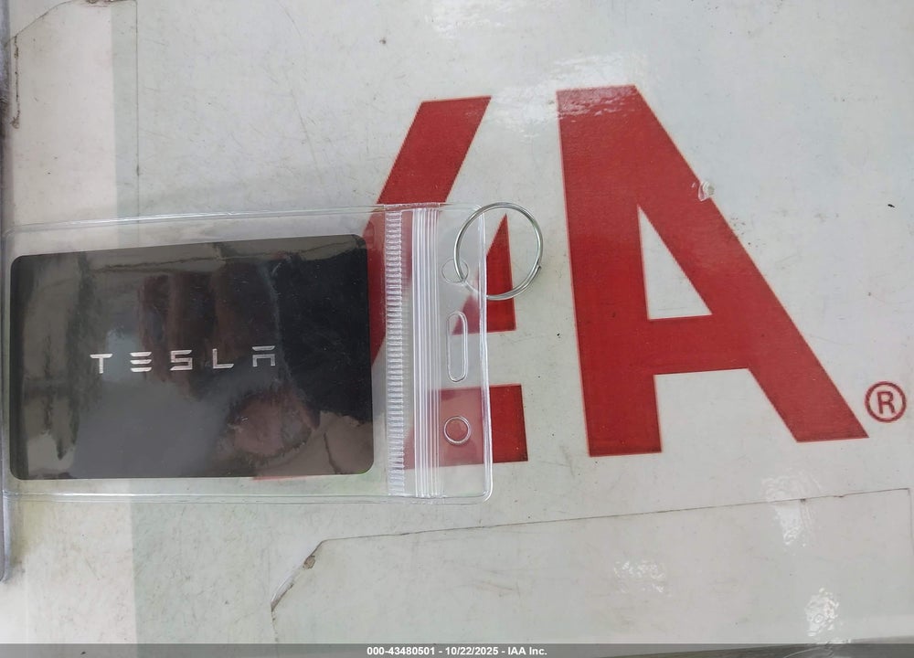 2023 TESLA MODEL 3 REAR-WHEEL DRIVE VIN: 5YJ3E1EAXPF509000