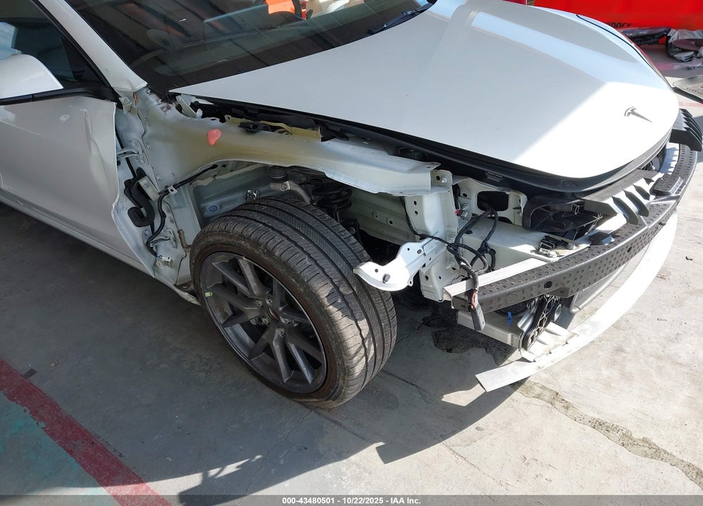 2023 TESLA MODEL 3 REAR-WHEEL DRIVE VIN: 5YJ3E1EAXPF509000