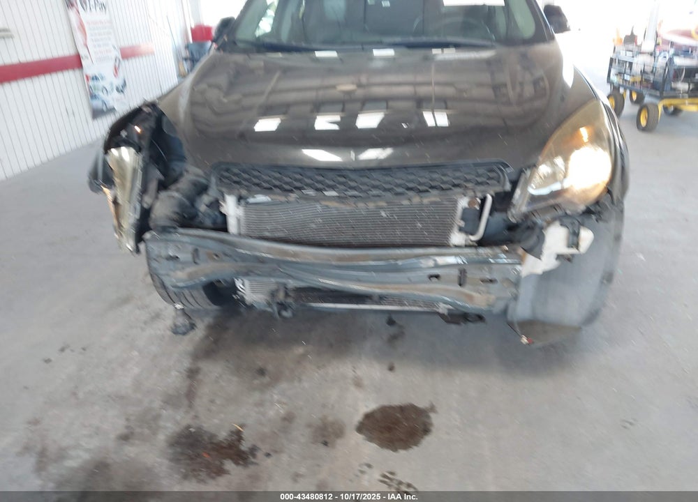 2010 CHEVROLET EQUINOX VIN: 2CNFLPEY4A6363964