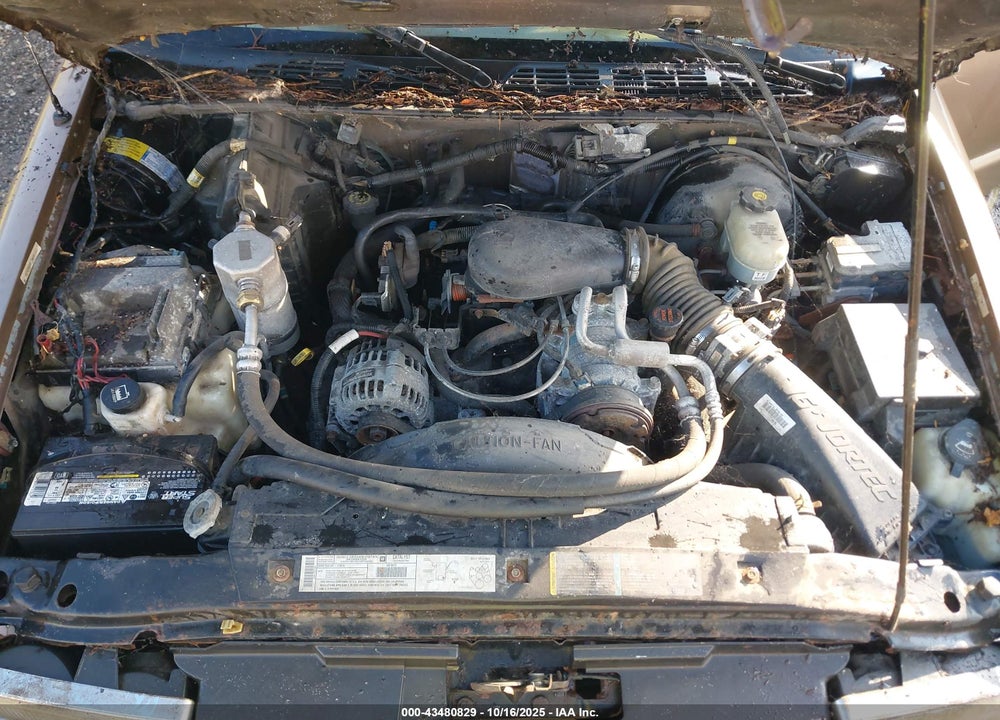 2002 CHEVROLET S-10 LS VIN: 1GCCS19W228175875