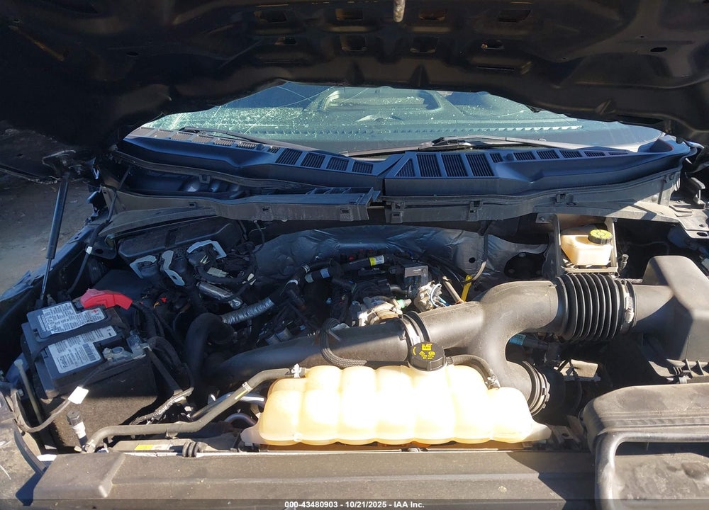 2021 FORD F-150 VIN: 1FTEW1EPXMFC02041