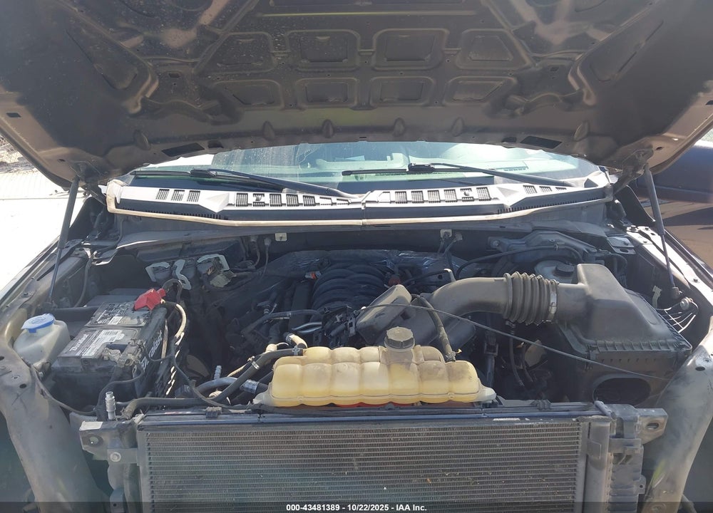 2019 FORD F-150 VIN: 1FTEW1E54KKC09876