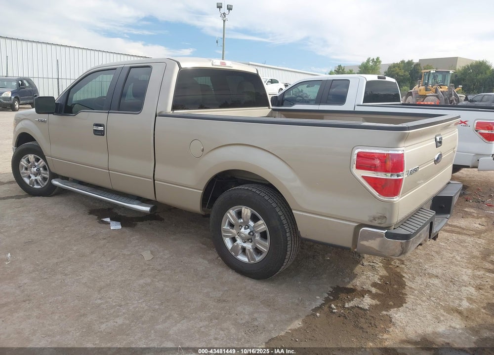 2010 FORD F-150 FX2 SPORT/STX/XL/XLT VIN: 1FTEX1C89AKE69537
