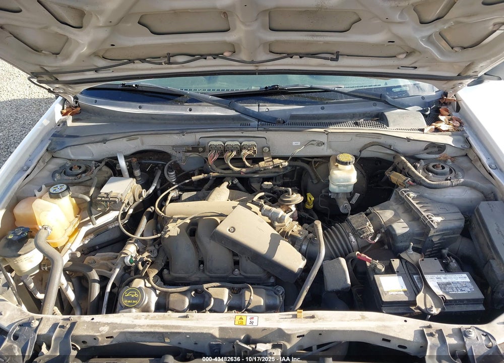 2006 FORD ESCAPE VIN: 1FMYU93196KC49308