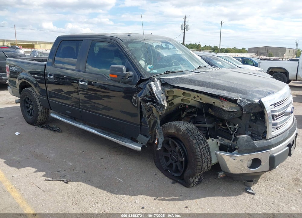 2014 FORD F-150 XLT VIN: 1FTFW1EF7EKD09911