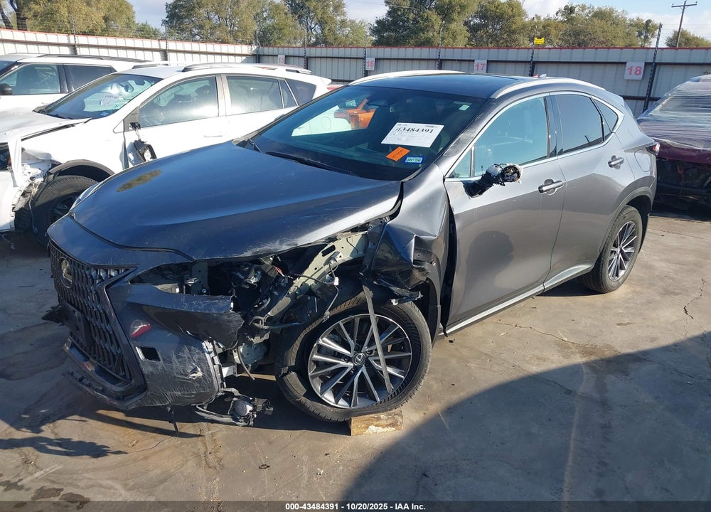 2024 LEXUS NX 250 VIN: 2T2ADCAZ9RC010547
