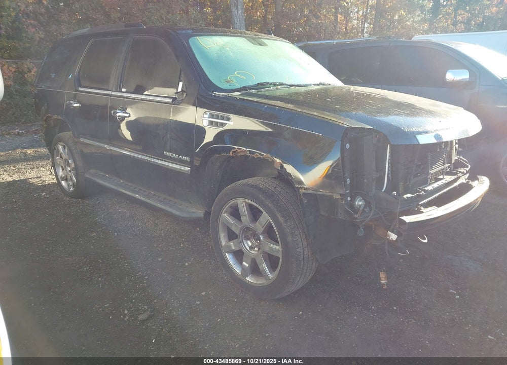 2010 CADILLAC ESCALADE PREMIUM VIN: 1GYUKCEF3AR271829