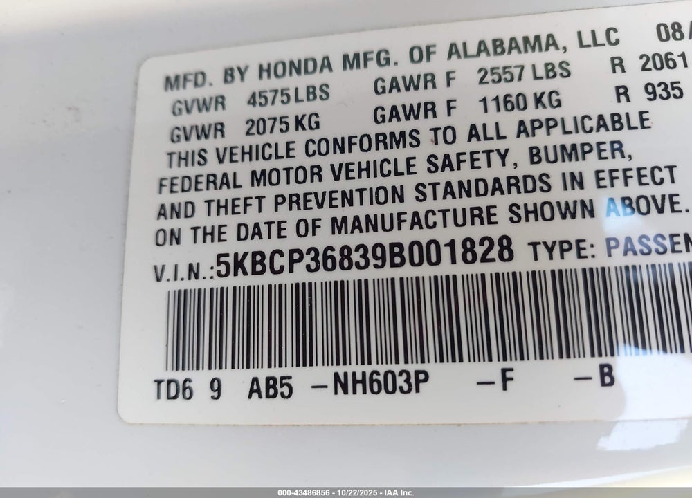 2009 HONDA ACCORD VIN: 5KBCP36839B001828