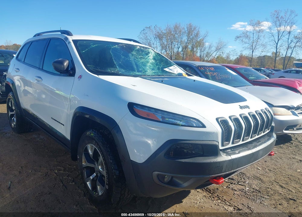 2017 JEEP CHEROKEE TRAILHAWK 4X4 VIN: 1C4PJMBS7HW510694