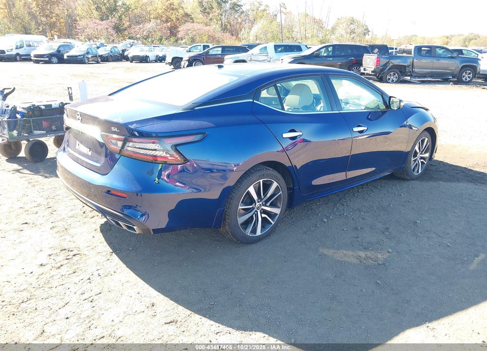 2019 NISSAN MAXIMA VIN: 1N4AA6AVXKC363069