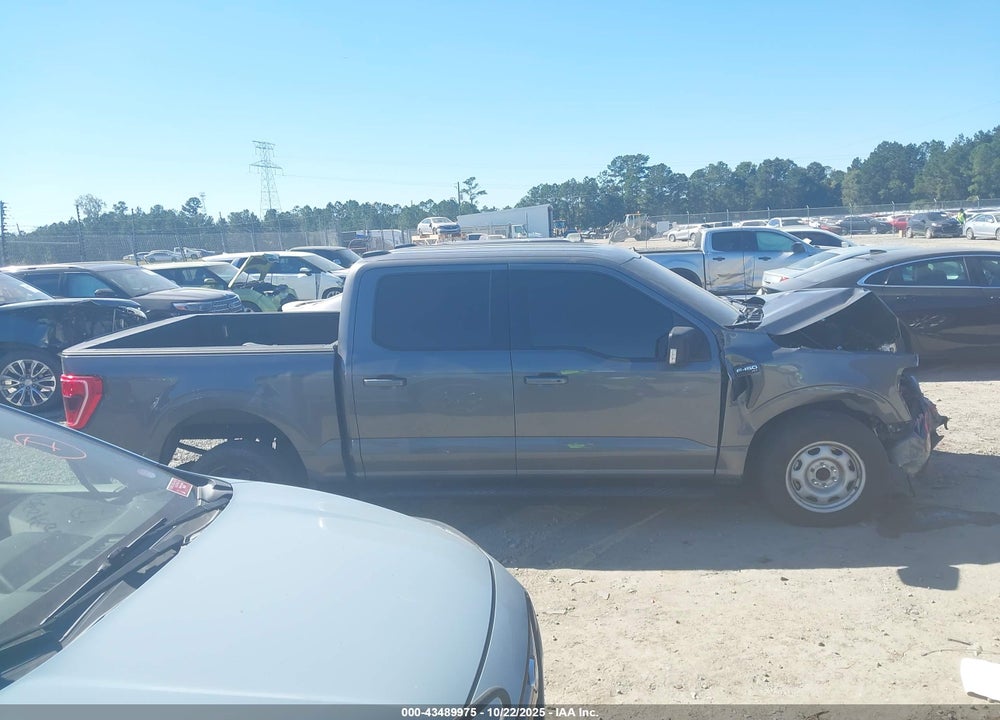 2021 FORD F-150 XLT VIN: 1FTEW1CP8MKD09650
