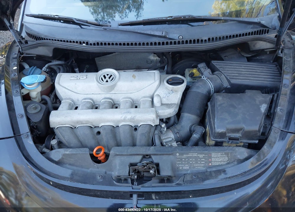 2009 VOLKSWAGEN BEETLE VIN: 3VWRF31Y69M400969