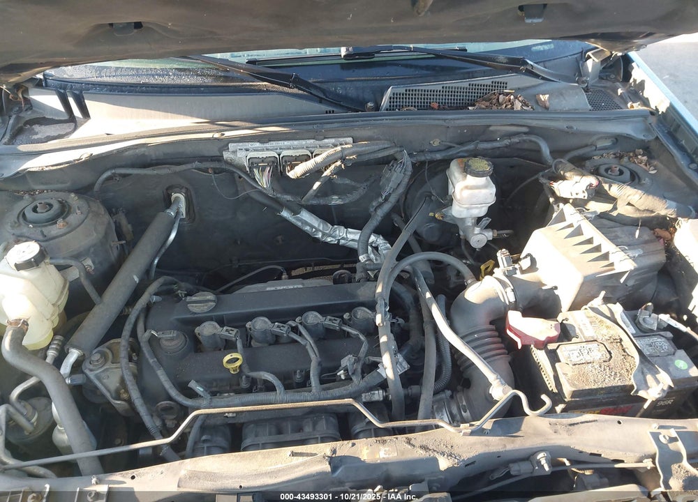 2010 FORD ESCAPE XLT VIN: 1FMCU0D7XAKB80629