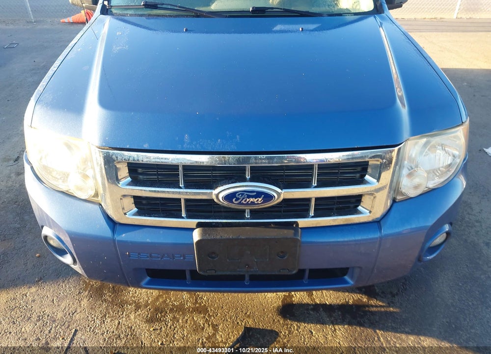 2010 FORD ESCAPE XLT VIN: 1FMCU0D7XAKB80629