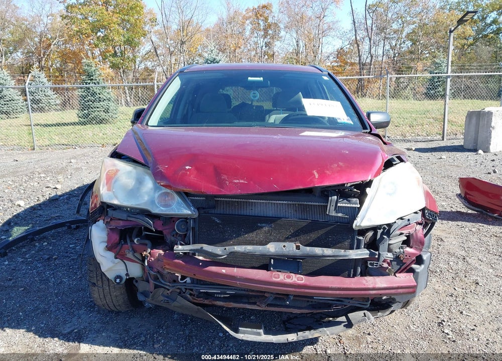 2010 HONDA CR-V EX VIN: 5J6RE4H59AL014490